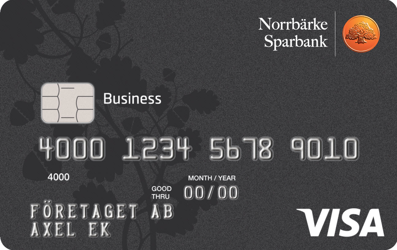 Visa Business Card